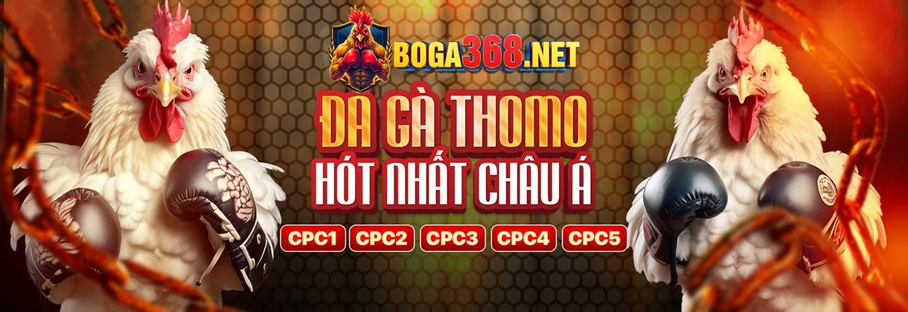 Tương lai phát triển của VV88